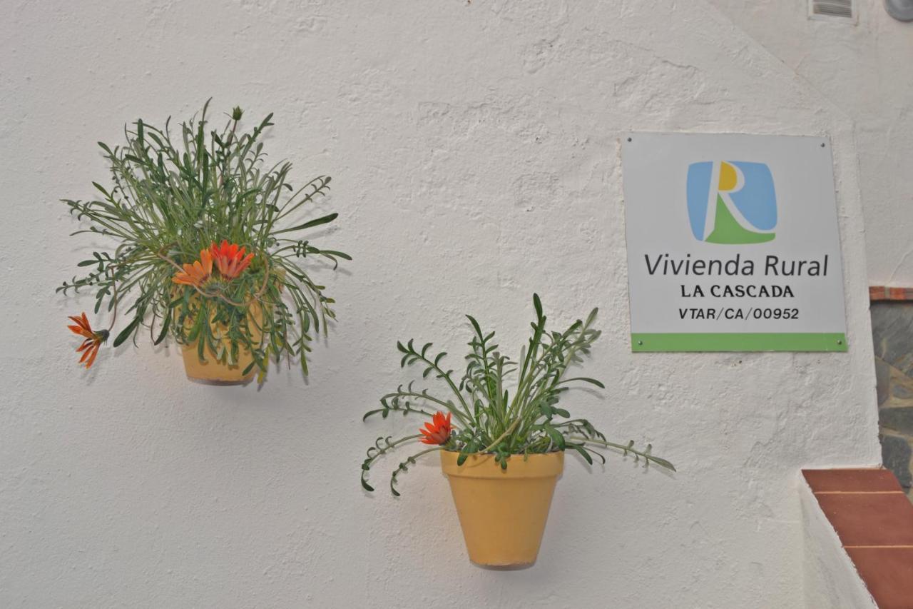 Casa La Cascada Villa El Bosque Eksteriør bilde