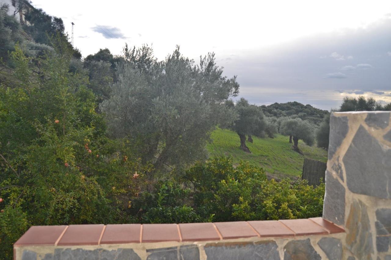 Casa La Cascada Villa El Bosque Eksteriør bilde