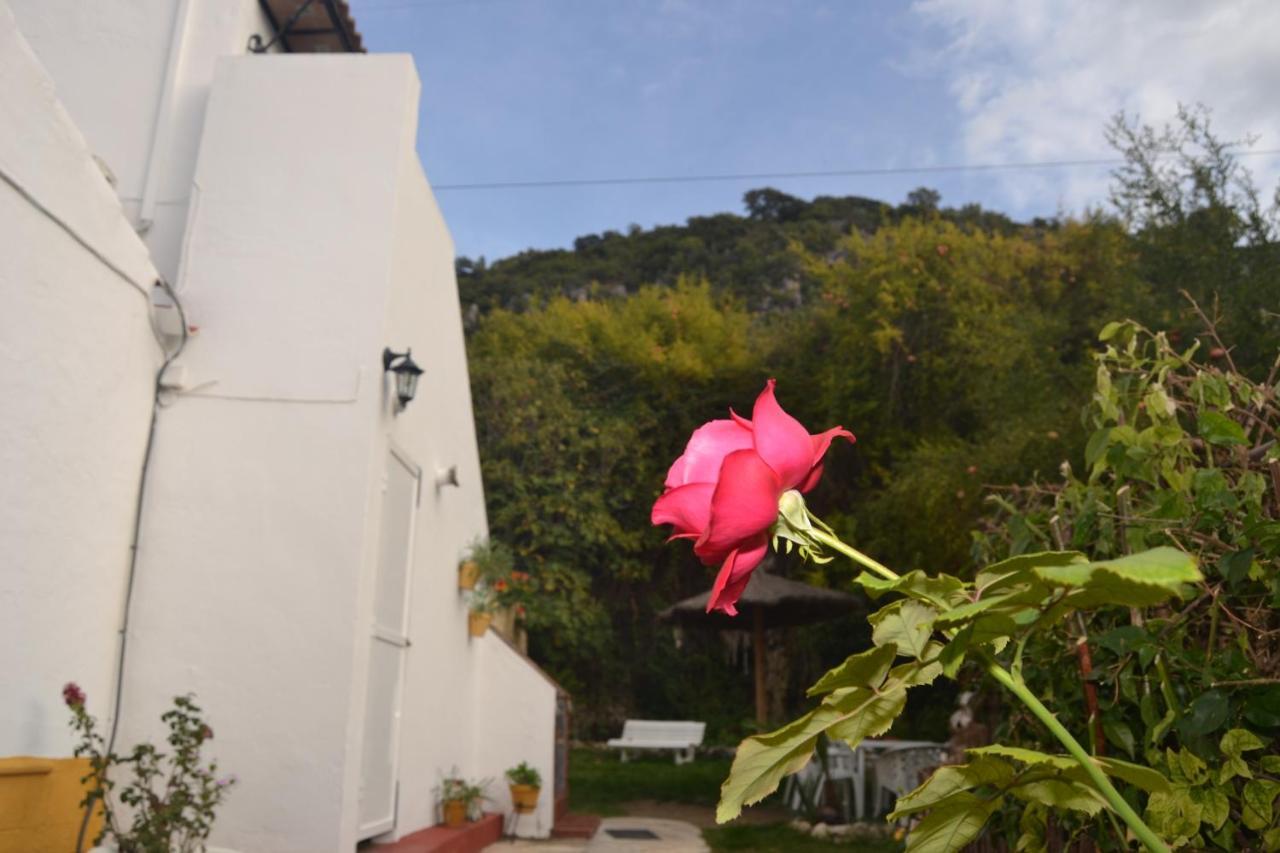 Casa La Cascada Villa El Bosque Eksteriør bilde